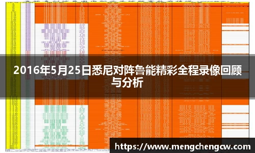 2016年5月25日悉尼对阵鲁能精彩全程录像回顾与分析