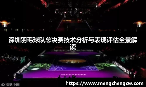 深圳羽毛球队总决赛技术分析与表现评估全景解读